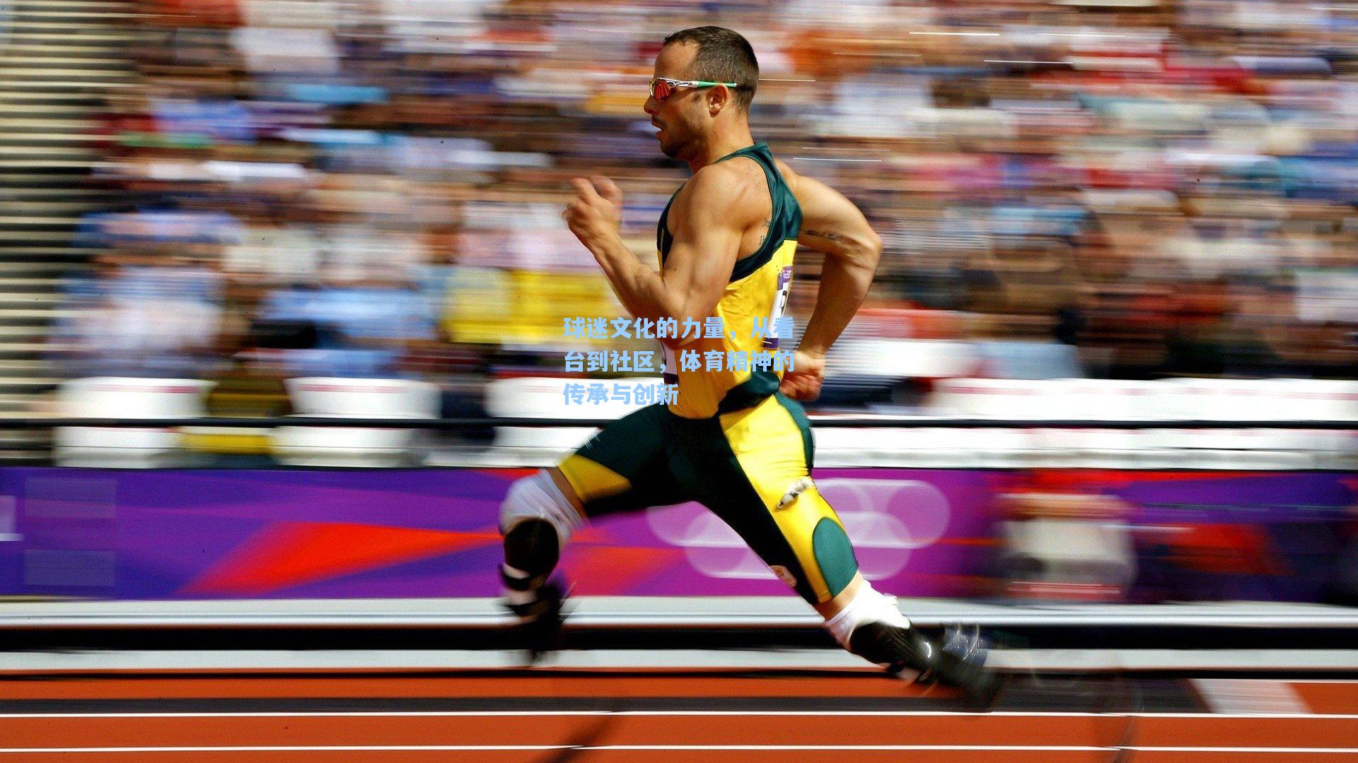 金年会入口：球迷文化的力量，从看台到社区，体育精神的传承与创新