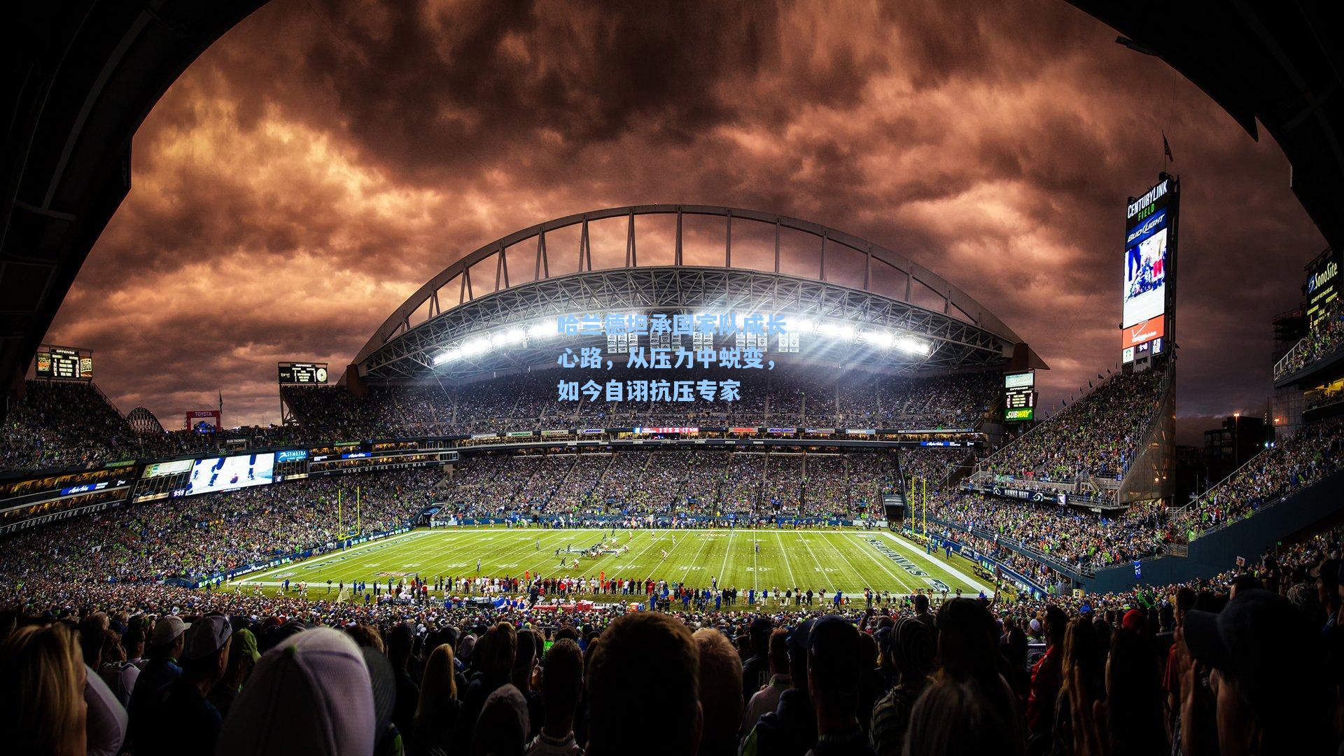 金年会登录入口-哈兰德坦承国家队成长心路，从压力中蜕变，如今自诩抗压专家